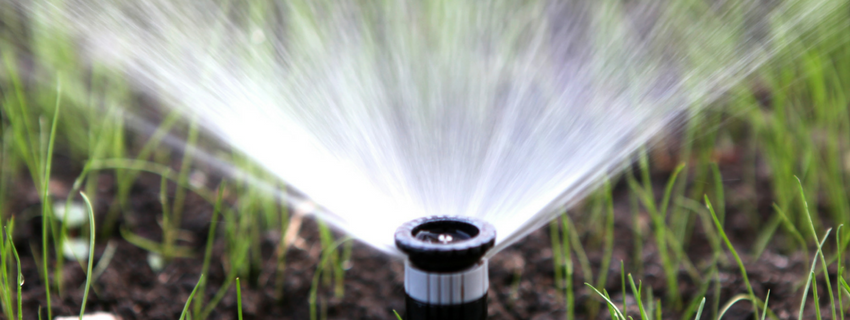 Let Your New Irrigation System Do The Watering For You