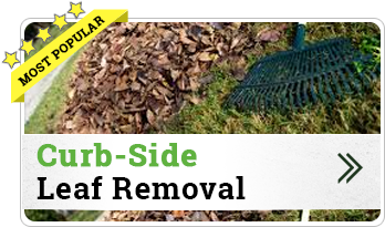 curb side leaf removal