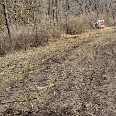 land clearing in manhattan ks