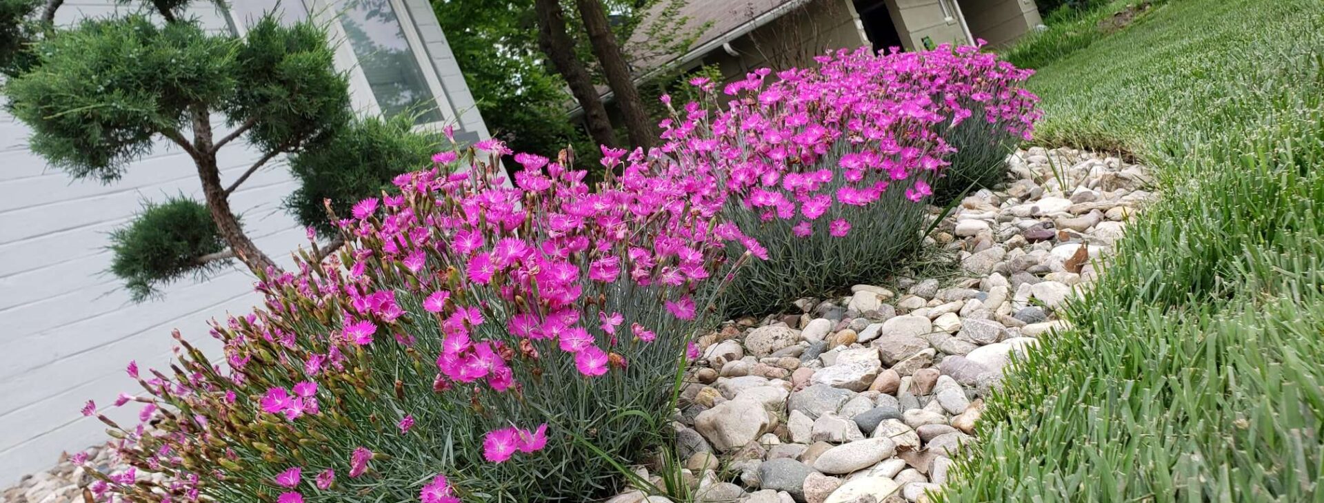 Manhattan KS lawn care service, commercial landscape service Garibay